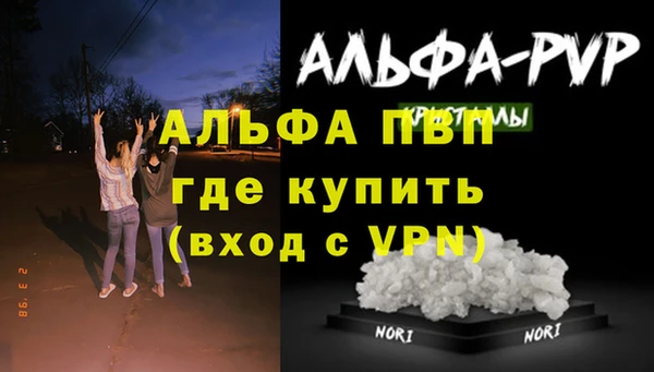 СК Алзамай