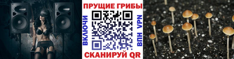 нарко площадка состав  Жигулёвск  Галлюциногенные грибы Cubensis  MEGA ссылка 